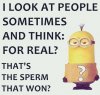The Winner.jpg