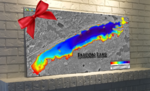 AEM Christmas ad.png