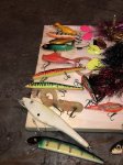 IMG_1174.JPG