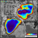East and West Goose 15 by 15 small preview.png