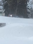 IMG_0573.JPG