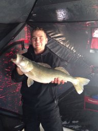 Wallyperch