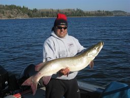 fishncamp