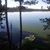 blue lk