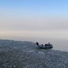 Jackfish